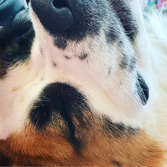 Live listing please like and share if you want to know when I’m Live - Picture 5 of 14